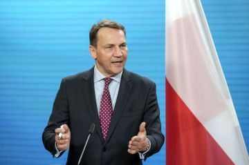 Поляки насовали Сикорскому: "Дебил