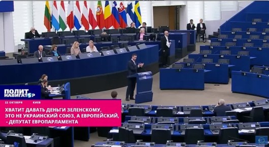 Хватит давать деньги Зеленскому, это не украинский союз, а европейский, – депутат Европарламента