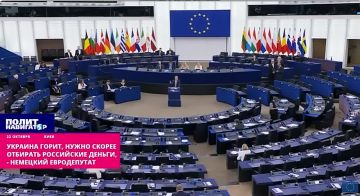 «Украина горит, скорее отбирать российские деньги!» – в Европарламенте спорят депутаты от Германии