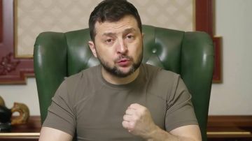 «Переломаю ему ноги!» — открыто заявляет румынский евродепутат Диана Шошоакэ в адрес Зеленского