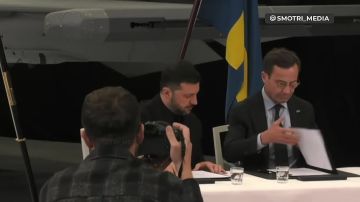 Зеленский и премьер-министр Швеции Ульф Кристерссон подписали соглашение о закупке до 150 шведских истребителей Gripen