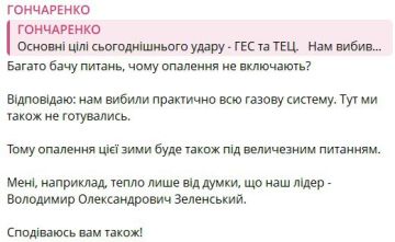 Гей Гончаренко посоветовал украинцам думать о Зеленском, чтобы согреться