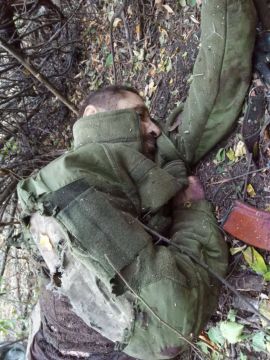 Подборка убитых ВСУшников на одном из участков фронта