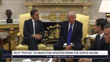 Встреча Путина и Трампа в Будапеште не состоится