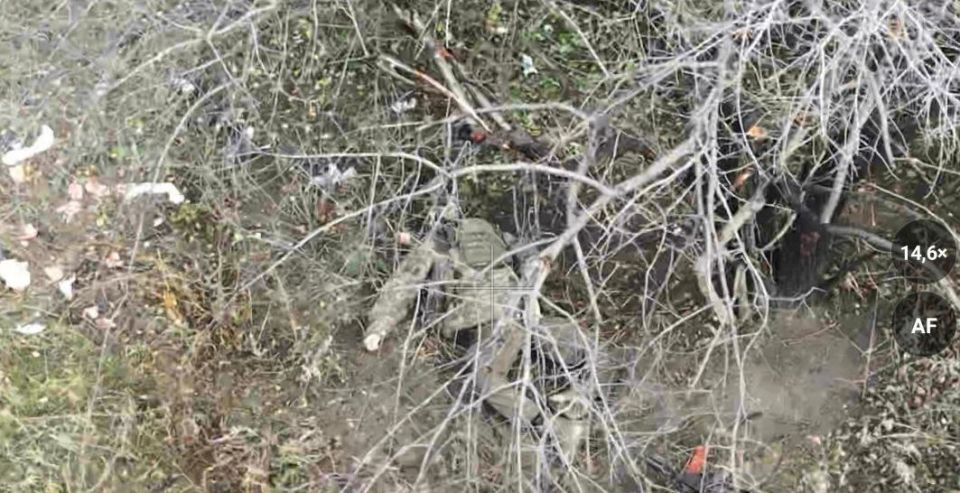 Очередная рубка между подразделениями ВСУ Очередная рубка между подразделениями ВСУ