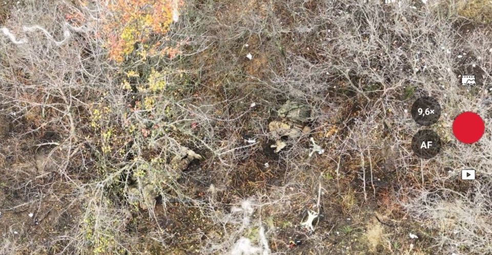 Очередная рубка между подразделениями ВСУ Очередная рубка между подразделениями ВСУ