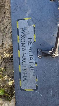 В Казахстане нашли обломки бандеровского БПЛА