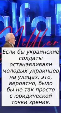 "Польша может подарить Украине одно оружие: украинских мужчин призывного возраста"