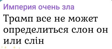 Это смешно. Спокойной ночи, подписчики!