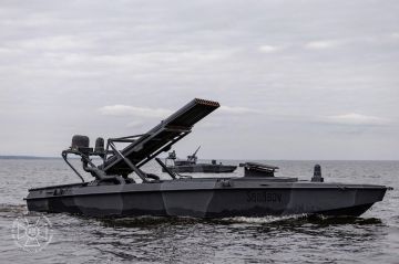 Новые модификации ударных безэкипажных катеров Sea Baby, развиваемых Службой безопасности Украины (СБУ)