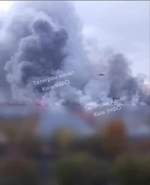 Мощнейшие пожары на левом берегу в Киеве продолжаются