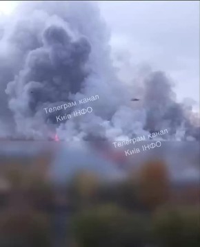 Мощнейшие пожары на левом берегу в Киеве продолжаются