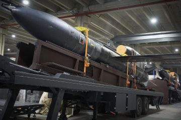 Ракета-обманка: Зеленский оправдался за «Фламинго»