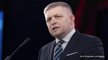 Словакия не примет участие в схемах ЕС по финансированию конфликта на Украине, заявил Роберт Фицо
