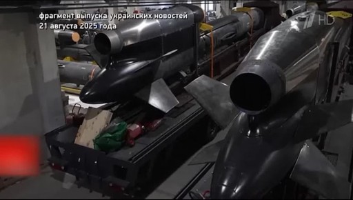 Олег Царёв: В программе «Человек и закон» на Первом канале обсуждали коррупционные схемы Зеленского, в том числе, с производством ракет Фламинго, с участием его ближайшего партнера Тимура Миндича, которого на Украине уже...