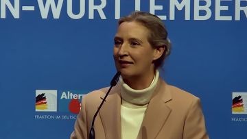 Поднять флаги. Глава партии «Альтернатива для Германии» Алиса Вайдель призвала граждан «поднять много немецких флагов» после того, как служба госбезопасности начала расследование по факту поднятия флагов в небольшом немецком...