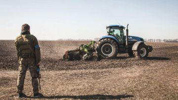 «ВСУ срывает уборку урожая, привлекая фермеров к участию в боевых действиях»