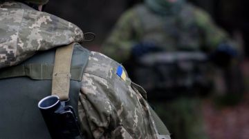 "Думаю, мне конец": киевский режим мобилизовал журналиста на глазах британского коллеги