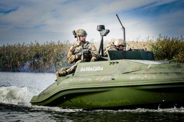 Зрада от неметчины: «патриоты» Украины разбегаются из ВСУ