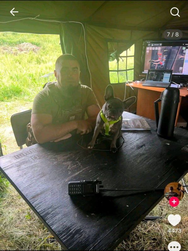 ���������� �������� �� ����� ������������ ���������� �������� ������� ��������� ������ ����� ����� � �������: � ���� ��������, ��� �� ����������� � TikTok ���� ���� � ������ "��������"