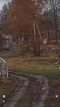 Подборка работы людоловов наркофюрера в процессе могилизации Украины