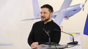 Кастинг-агентство Зеленского* стало поставщиком дронов