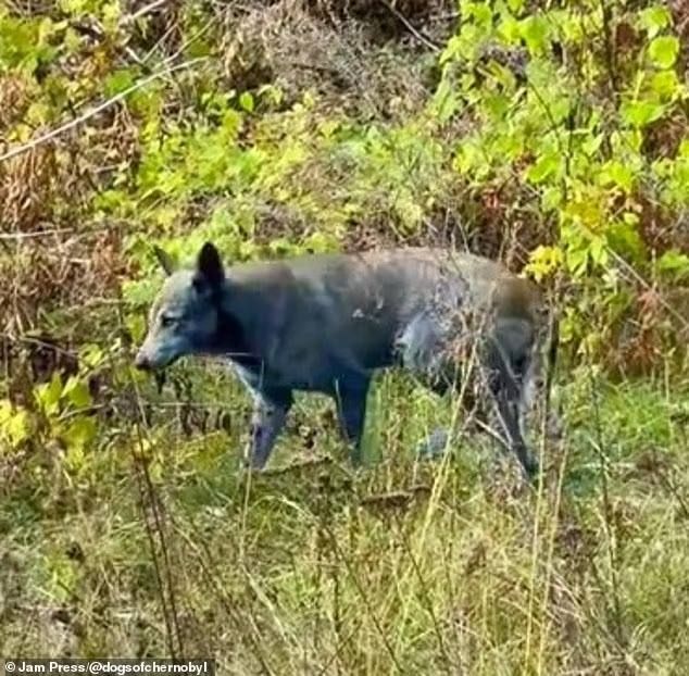 � ��������� ����� ����� � ����� �������: