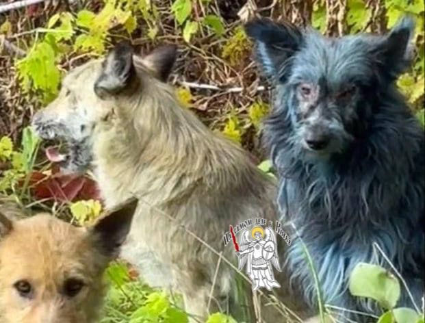 � ��������� �������� ����� � ������� ������� � Daily Mail �������� � �������� ����