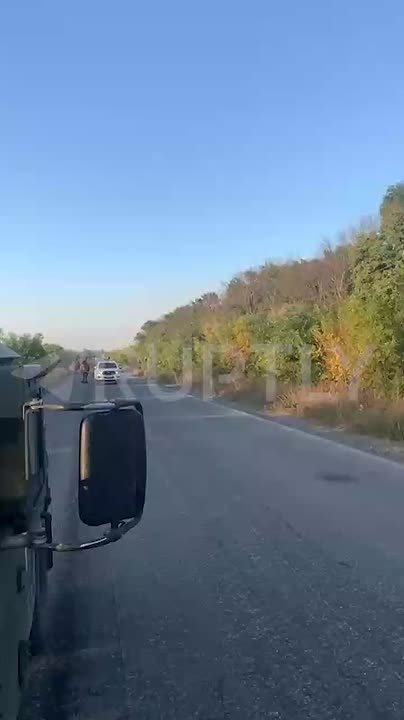 Вслед за котом и собакой: на Украине нынче мобилизуют даже верблюдов