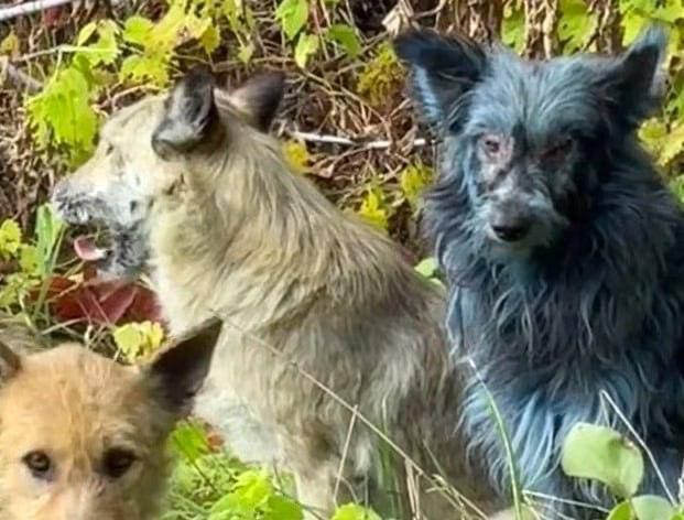 � ��������� ����� ����� � ����� �������: