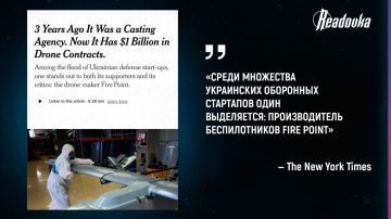 Дроны и ракеты «Фламинго» Украине поставляет бывшее кастинговое агентство Fire Point