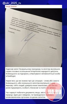 Украинские патриоты продолжают грызню и "расследования" в отношении друг друга
