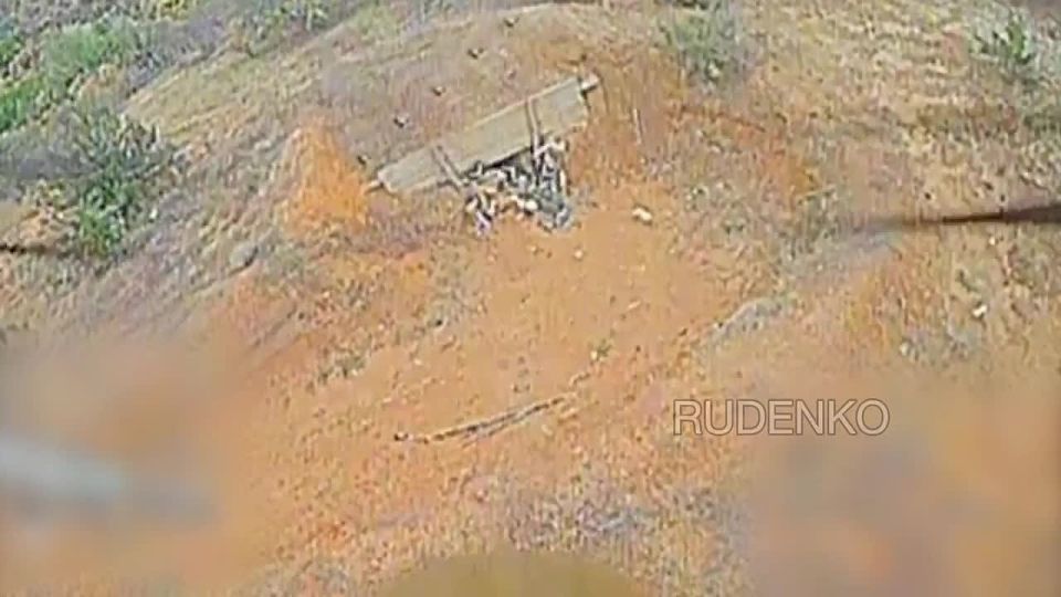  :     ()      ..-              ...