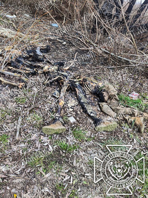 Кадры 18+: Отголоски "Курской авантюры"