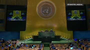 Юлия Витязева: Не будет Украины - не будет проблем!