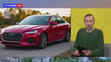 С 1 января машины с номерами ЛДНР и Украины нужно будет растаможить по общим правилам