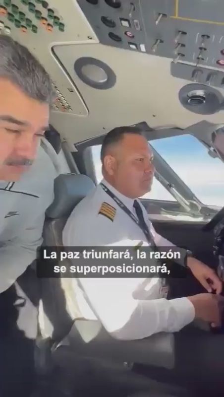  :         , ,    ,     ,      