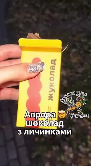 Евроинтеграция на вкус: на Украине начали продавать шоколад с жуками