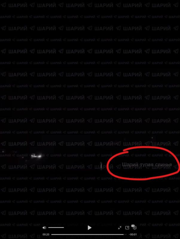 Записки ветерана: Вот так хохол Шарий, который называет себя журналистом, кормит дерьмом с лопаты свою миллионную аудиторию рыбок с IQ 78 Записки ветерана: Вот так хохол Шарий, который называет себя журналистом, кормит дерьмом с лопаты свою миллионную аудиторию рыбок с IQ 78