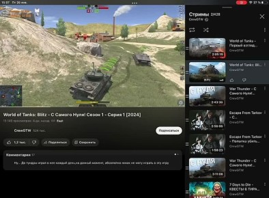 Размышления гражданина РФ :