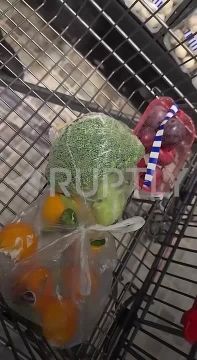 «В следующий раз попробуем сделать покупку на 100 евро бесплатно»: украинка проверяет лимиты немецкой толерантности и просит местных платить за нее в супермаркетах — ведь она с Украины!