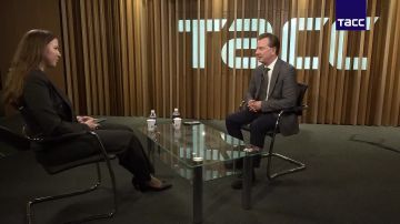 Синие собаки в Чернобыле могут быть рекламной кампанией, заявил ТАСС депутат Владимир Бурматов ("Единая Россия")