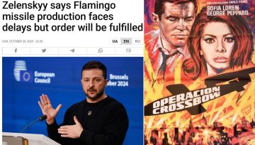 В сети разобрали ролик-презентацию украинской ракеты «Фламинго»