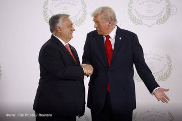 -                    ,     