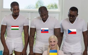 В ЕС нашлись смелые, кто сказал «ХВАТИТ»!