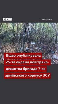 Новый шедевр для украинского ТВ: выход боевиков ВСУ из Покровска!
