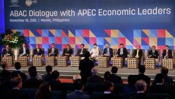 Недружественные России страны пытались протащить в итоговую декларацию саммита АТЭС тему Украины, но им это не удалось, сообщил РИА Новости источник в МИД России