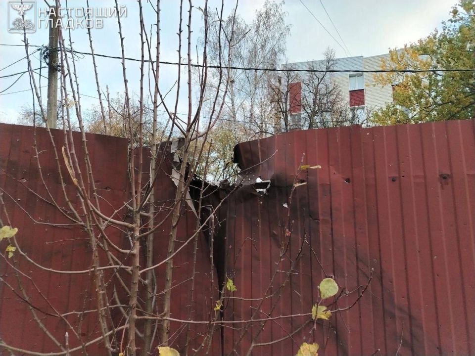 Юлия Витязева: Украина - страна-террорист!