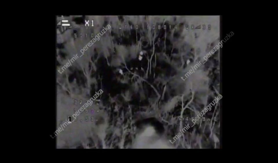 ����� �������������� ����� ���������� �������� ���