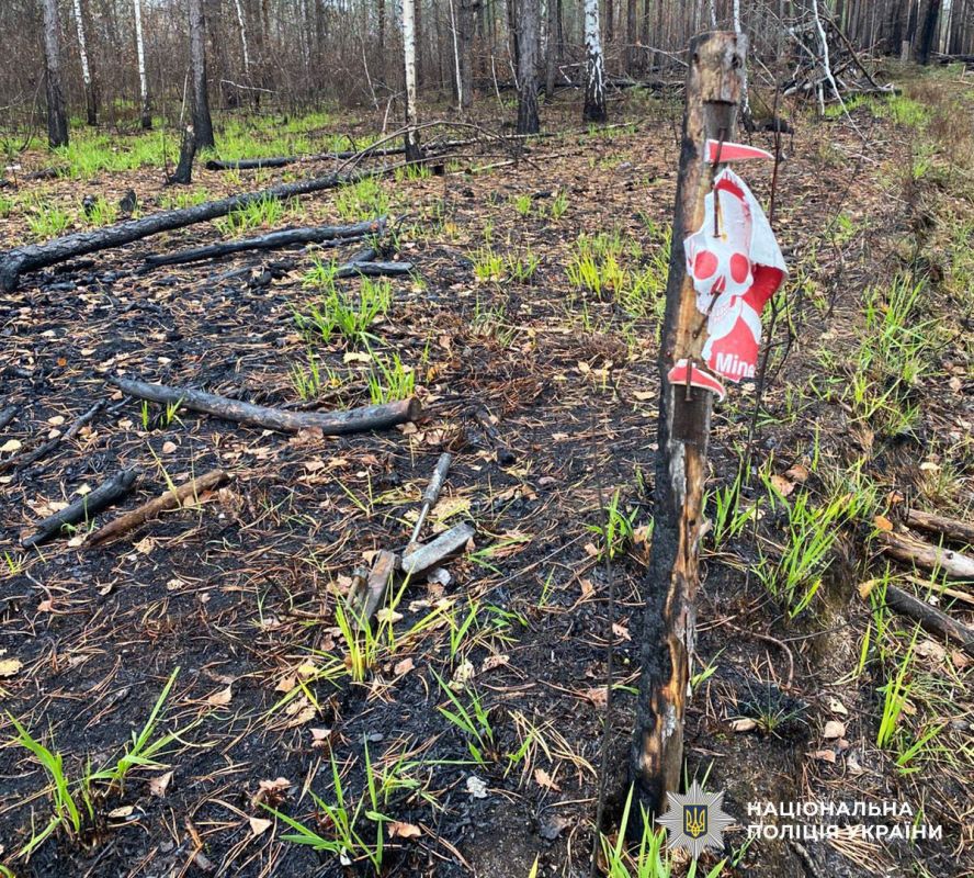 На границе Житомирской области с Белоруссией на взрывчатке подорвались две машины: пятеро погибших, трое пострадавших На границе Житомирской области с Белоруссией на взрывчатке подорвались две машины: пятеро погибших, трое пострадавших